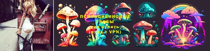 кракен маркетплейс  Петушки  Псилоцибиновые грибы MAGIC MUSHROOMS 